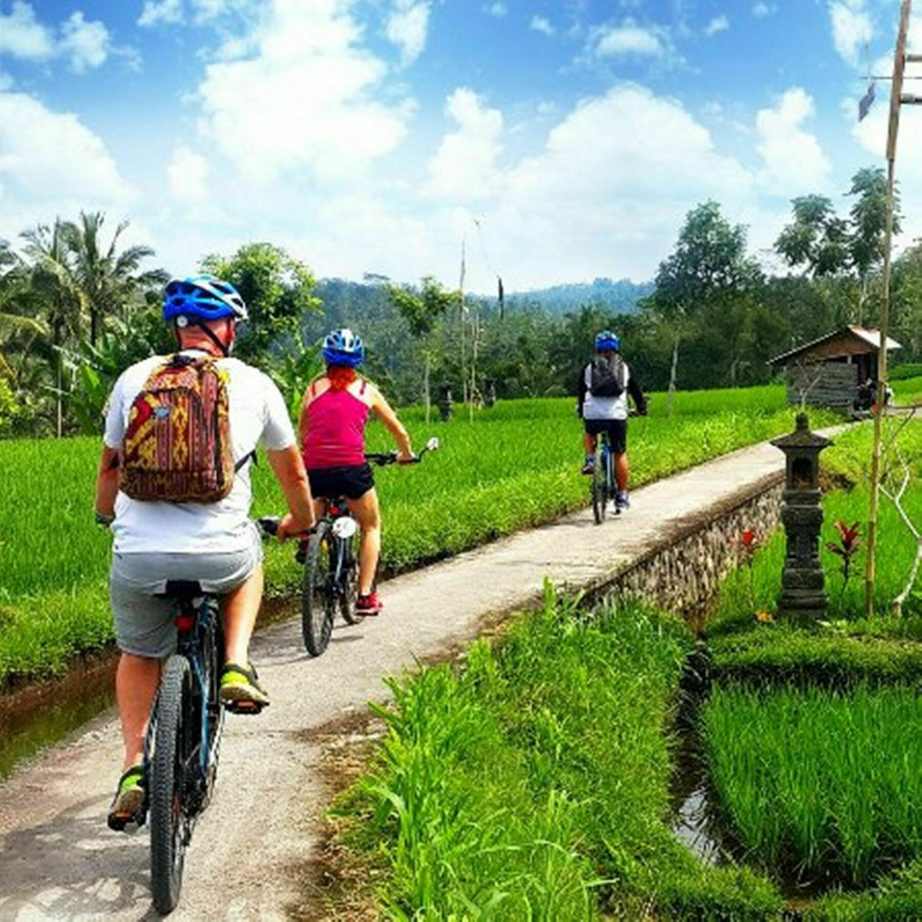 Omah D'Taman By Eps Hotell Ubud Eksteriør bilde